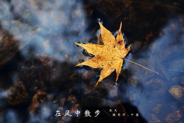 MA201610021726270028-00-000000000