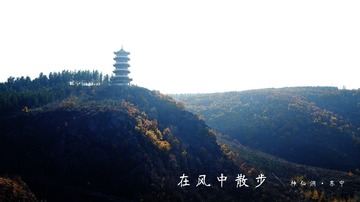 MA201610151839190011-04-000000000