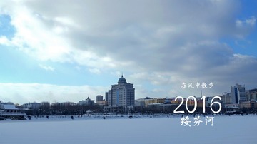 MA201611081652460055-04-000000000