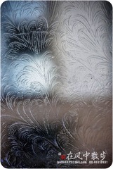 我的摄影-20120129-18.jpg