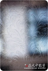 我的摄影-20120129-11.jpg