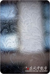 我的摄影-20120129-12.jpg