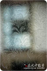 我的摄影-20120129-13.jpg