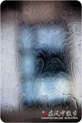 我的摄影-20120129-15.jpg