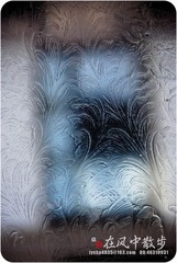 我的摄影-20120129-16.jpg