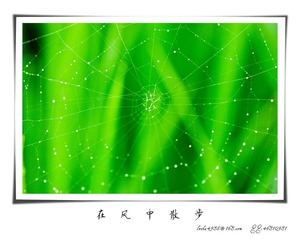 我的摄影-20120723-03.jpg