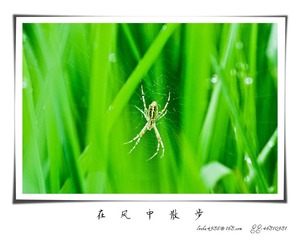 我的摄影-20120723-05.jpg