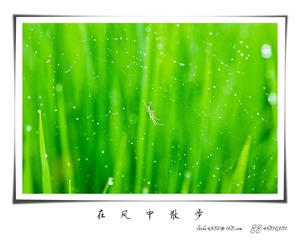 我的摄影-20120723-01.jpg