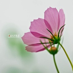 我的摄影-20120723-24.jpg