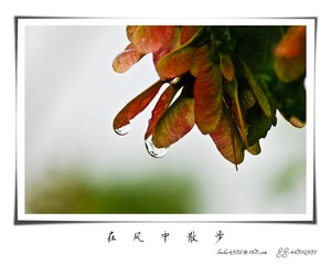 我的摄影-20120723-19.jpg