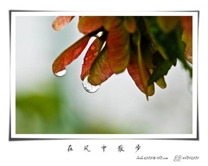 我的摄影-20120723-18.jpg