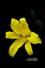 我的摄影-20120723-14.jpg
