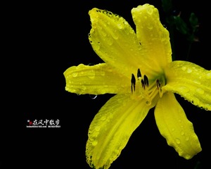 我的摄影-20120723-15.jpg