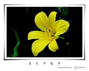我的摄影-20120723-09.jpg