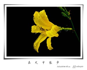 我的摄影-20120723-13.jpg