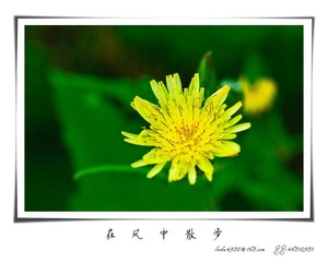 我的摄影-20120723-36.jpg