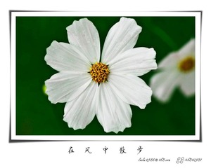 我的摄影-20120723-26.jpg