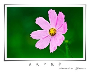 我的摄影-20120723-27.jpg