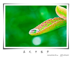 我的摄影-20120723-29.jpg