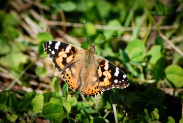 我的摄影-20121003-29.jpg