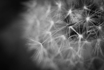 我的摄影-20121003-37.jpg