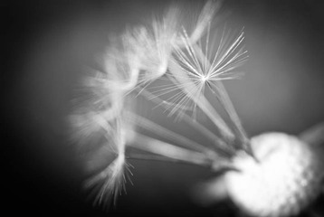 我的摄影-20121003-40.jpg