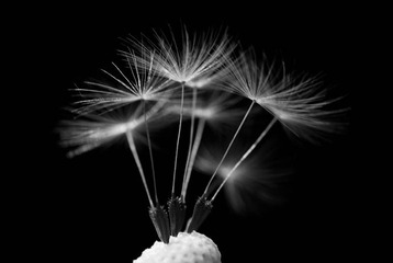 我的摄影-20121003-47.jpg