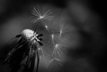 我的摄影-20121003-51.jpg