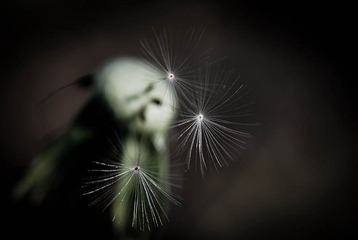 我的摄影-20121003-54.jpg