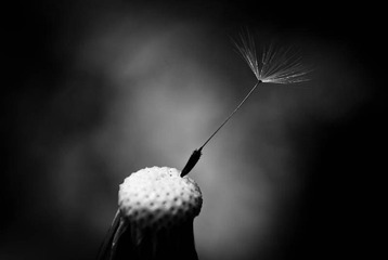 我的摄影-20121003-56.jpg