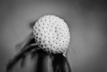 我的摄影-20121003-58.jpg