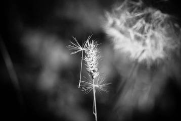 我的摄影-20121003-68.jpg