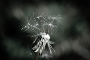 我的摄影-20121003-71.jpg