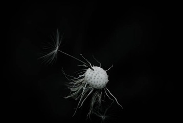 我的摄影-20121003-75.jpg