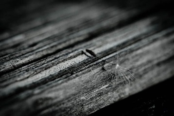 我的摄影-20121003-92.jpg