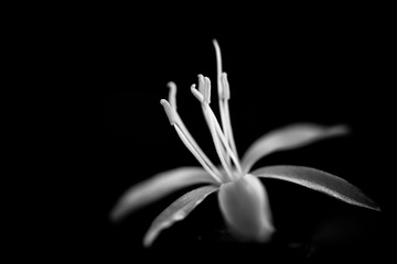 201302151.jpg