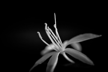 201302153.jpg
