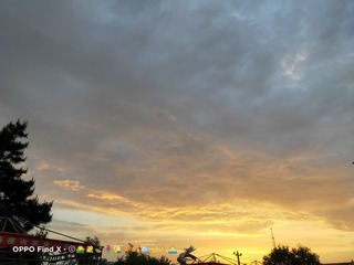 11309