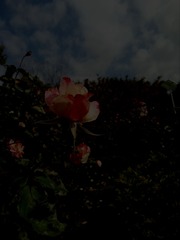 910183