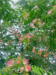 8BE00980-809F-4DB3-B877-F4977256EFD8/L0/001