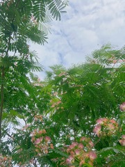 64196C5F-B40C-4A28-B53E-A69D6C335012/L0/001