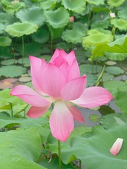 4B3F395E-5C3B-425B-92D7-99A626279DE7/L0/001