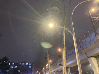 BF98E792-51D3-48A3-9E9B-D6F3148E2ACA/L0/001