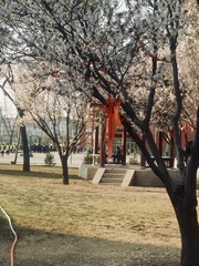 3F58FB82-FA67-4801-A370-1DB30874E6E1/L0/001