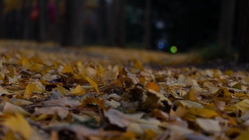 B83E55D3-F09B-4262-9407-9CEF0B0B6C70/L0/001