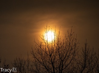 31024348-2B55-4E91-8F45-275F4C598D57/L0/001