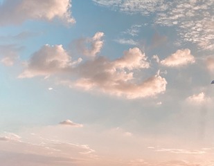 223FF9AE-7155-4523-9EEB-F72244AA3B1C/L0/001