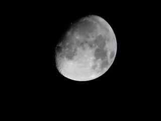 A31395BD-54DD-4AA2-B9C3-A45545459664/L0/001
