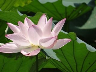 5824C89E-4CA7-4466-B244-026E47FDDF5D