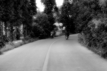 回家的路